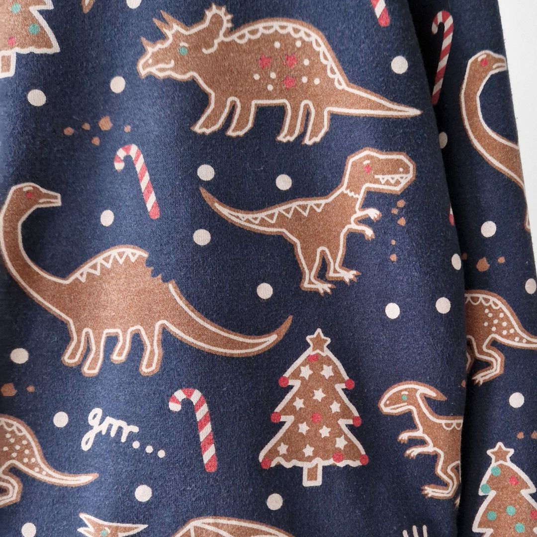 Pre-Loved Kids džemperis ar piparkūku dinozauriem | 4–6 gadi